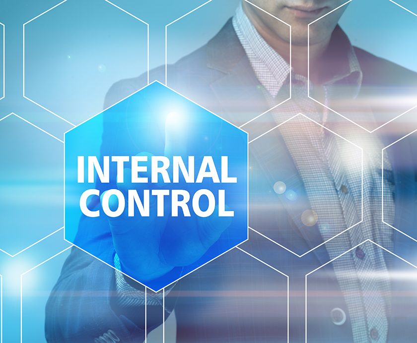 Explain Internal Control Process