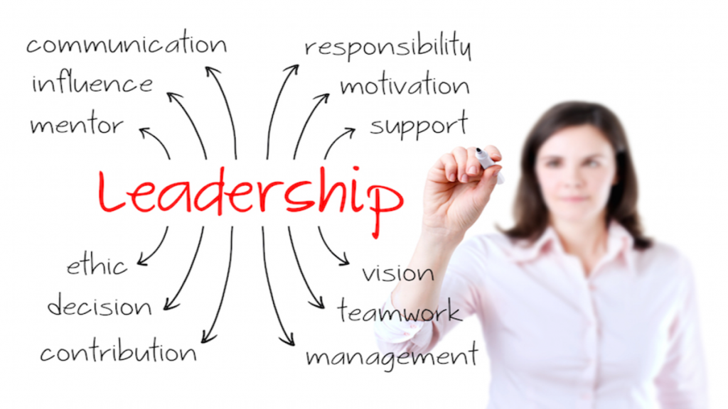 Leadership & Influence and Trust - Creating Professional Strategies