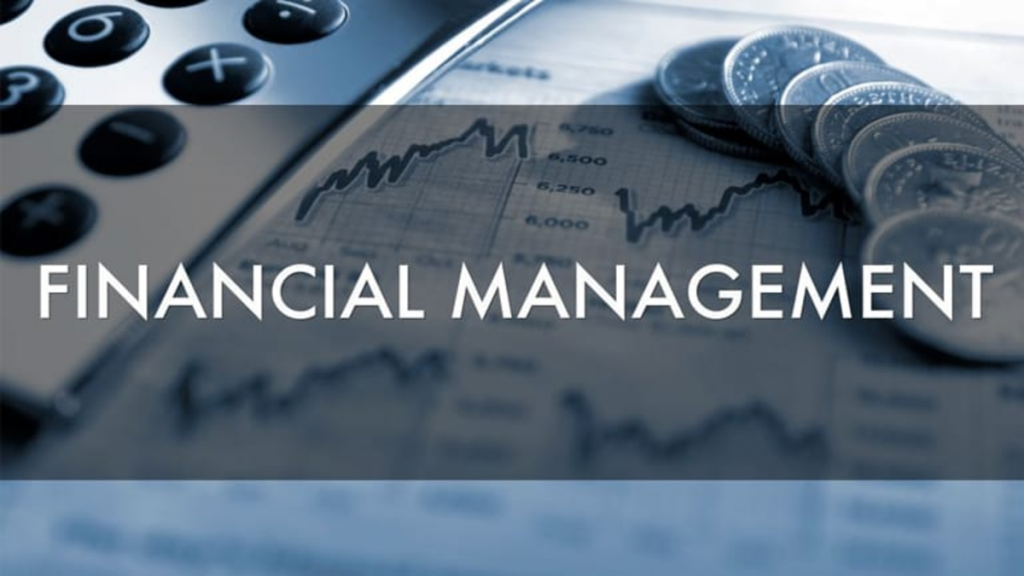 Financial Management for Project Development