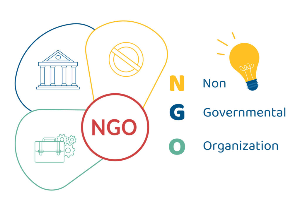 المحاسبة الإلكترونية للهيئات غير الهادفة للربح NGO