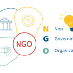 المحاسبة الإلكترونية للهيئات غير الهادفة للربح NGO