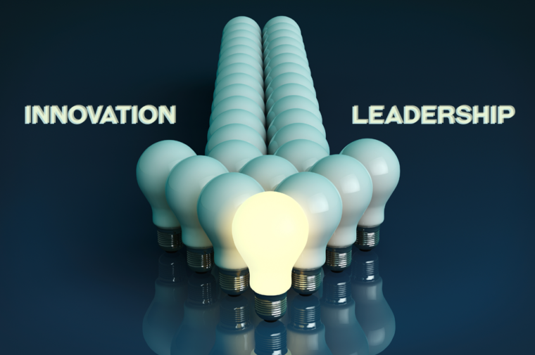 Innovative Leadership Competencies