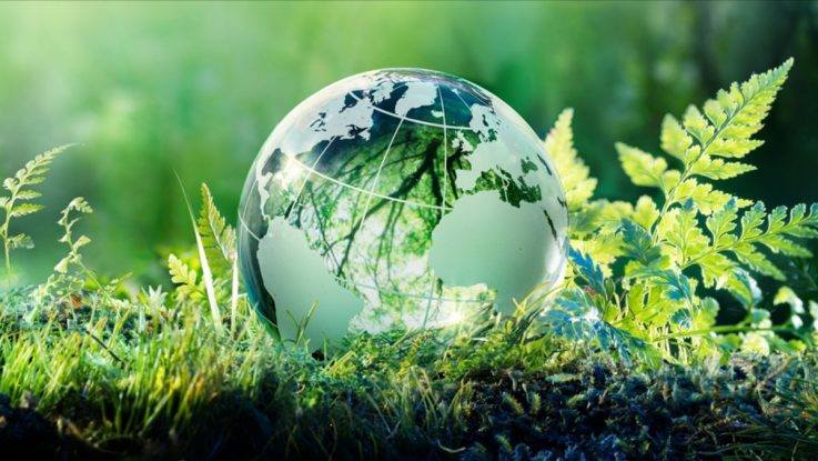 دور القطاع الخاص والمجتمع المدني العالمي في الحوكمة البيئية العالمية