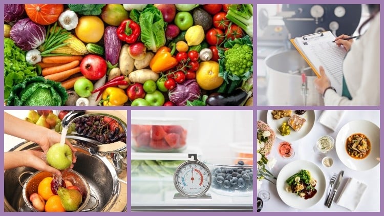 Food Safety and Hygiene in the Catering Industry