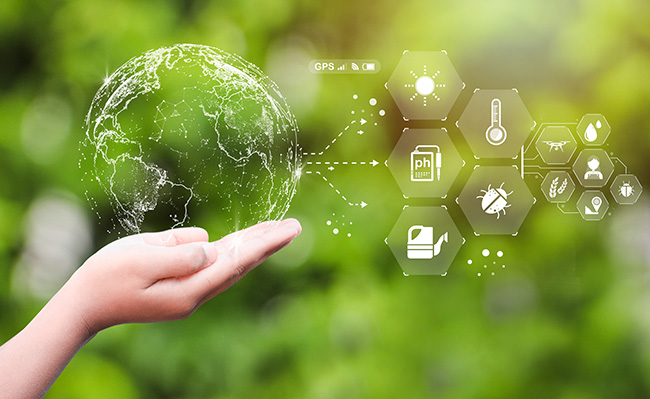 إدارة الأنظمة البيئية