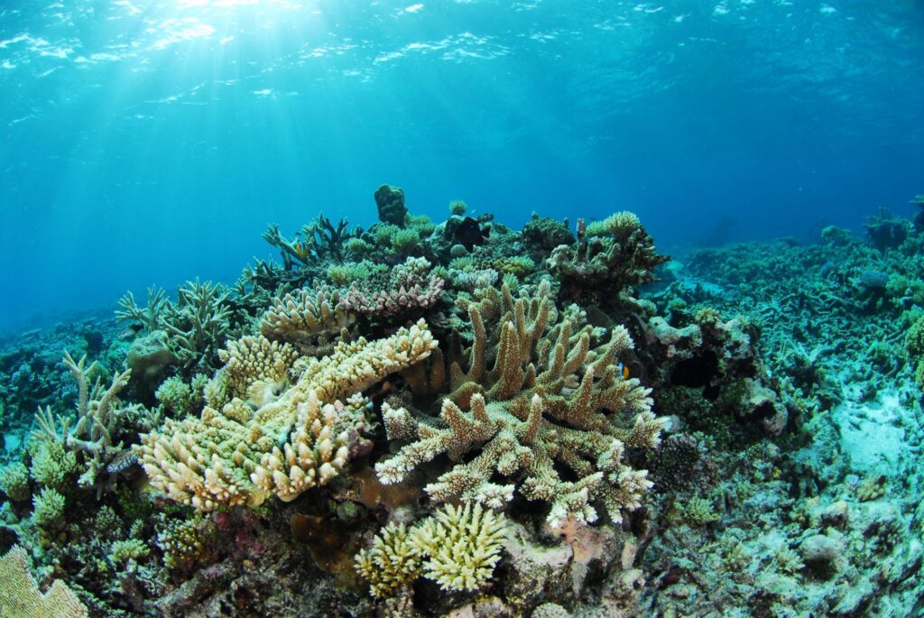 Marine Environment Protection