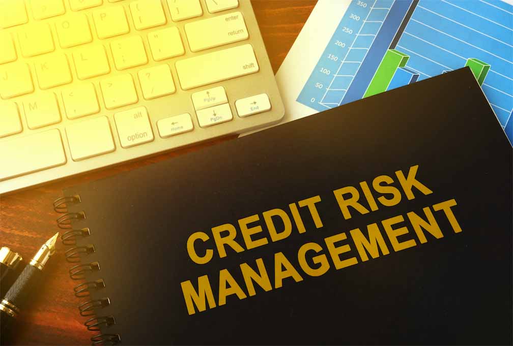 Credit Risk Management in Banking Sector