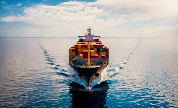 Maritime Professional Training Certification
