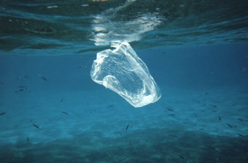 Marine Bioengineering and Biomimicry